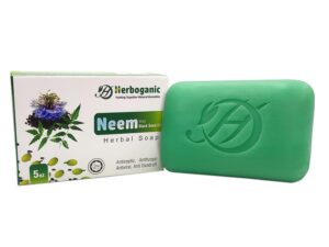 Neem black seed soap